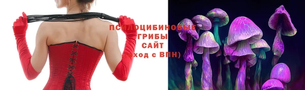 ALPHA PVP Магас