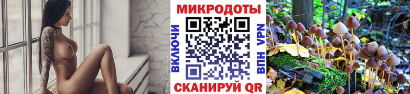 Галлюциногенные грибы Psilocybine cubensis  Людиново 